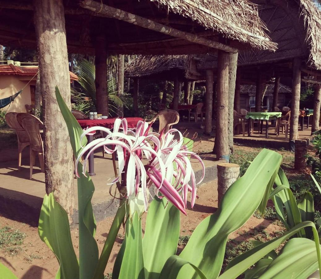 Sukriti Beach Resort 瓦尔卡拉 外观 照片